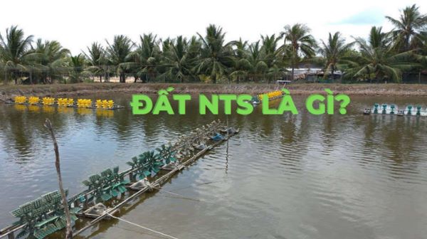 Đất NTS là gì? Quy định chuyển đổi đất NTS