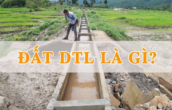 Đất DTL là gì? Những quy định mới nhất về đất ĐTL