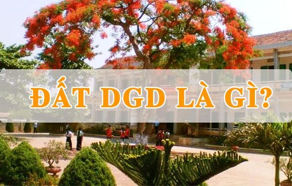 Đất DGD là đất gì? Những lưu ý cần biết về đất DGD mới nhất 2022?